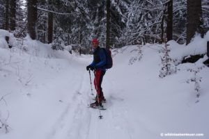 Schneekopf Skitour Januar 17